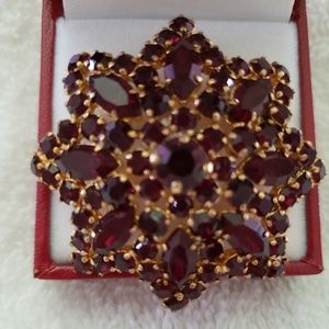 Vintage Czech Bohemian Style Garnet Brooch